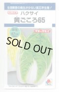 送料無料　[白菜]　黄ごころ65　1ml　タキイ種苗(株)　DF
