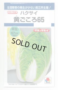 [白菜]　黄ごころ65　1ml　タキイ種苗（株）　DF