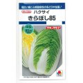 送料無料　[白菜]　きらぼし85　0.9ml　タキイ種苗(株)　DF