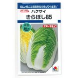 送料無料　[白菜]　きらぼし85　0.9ml　タキイ種苗(株)　DF