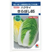 送料無料　[白菜]　きらぼし85　0.9ml　タキイ種苗(株)　DF