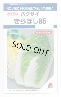 [白菜]　きらぼし85　0.9ｍｌ　タキイ種苗（株）　DF　