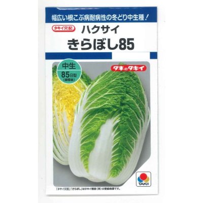 画像1: 送料無料　[白菜]　きらぼし85　0.9ml　タキイ種苗(株)　DF