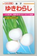 送料無料　[かぶ]　ゆきわらし　2.3ml　カネコ交配