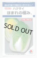 送料無料　[白菜]　ほまれの極み　0.8ml　タキイ種苗(株)　DF