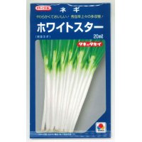 [ねぎ]　ホワイトスター　20ｍｌ　タキイ種苗（株）