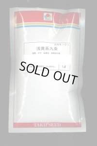 送料無料　[ねぎ]　浅黄系九条　1dl(3250粒)　タキイ種苗(株)