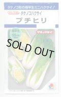 送料無料　[白菜]　プチヒリ　1.8ml(およそ520粒)　タキイ種苗(株)　DF