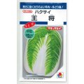 送料無料　[白菜]　王将　4ml　タキイ種苗(株)　DF