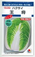送料無料　[白菜]　王将　4ml　タキイ種苗(株)　DF