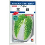 送料無料　[白菜]　王将　4ml　タキイ種苗(株)　DF