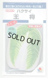送料無料　[白菜]　王将　4ml　タキイ種苗(株)　DF