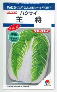 送料無料　[白菜]　王将　4ml　タキイ種苗(株)　DF