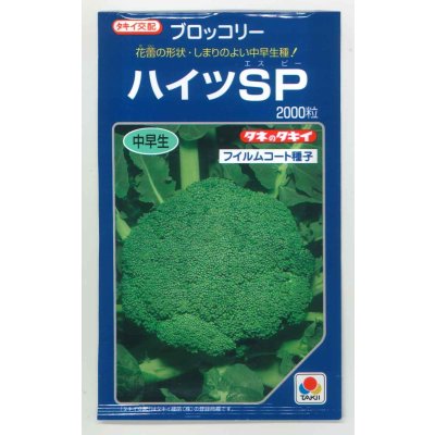 画像1: 送料無料　[ブロッコリー]　ハイツＳＰ　2000粒　タキイ種苗(株)