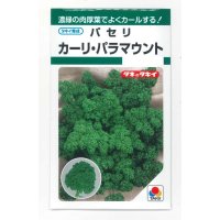 [葉物]　パセリ　カーリ・パラマウント（約620粒）　タキイ種苗　GF