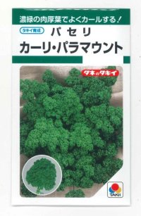 [葉物]　パセリ　カーリ・パラマウント（約620粒）　タキイ種苗　GF