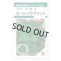 送料無料　パセリ　カーリ・パラマウント(約620粒)　タキイ種苗　GF