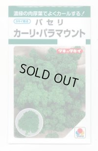 送料無料　パセリ　カーリ・パラマウント(約620粒)　タキイ種苗　GF