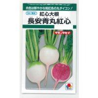 送料無料　[大根]　長安青丸　紅心大根　9ml　タキイ種苗(株)　GF