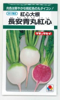 送料無料　[大根]　長安青丸　紅心大根　9ml　タキイ種苗(株)　GF
