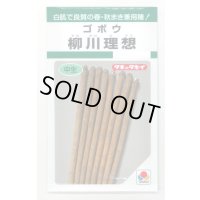 [牛蒡] 柳川理想 9ml タキイ種苗(株) GF