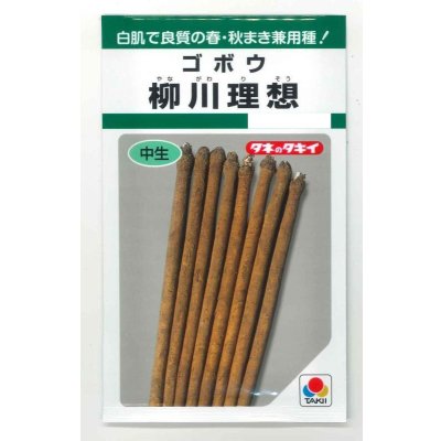 画像1: 送料無料　[牛蒡]　柳川理想　9ml　タキイ種苗　GF