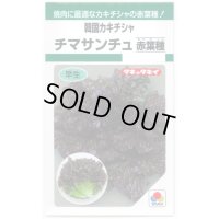 送料無料　[レタス]　チマサンチュ　赤葉種　0.9ml　タキイ種苗　GF