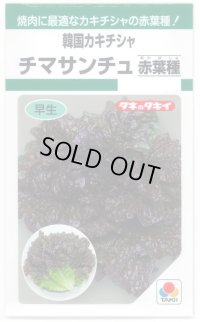 送料無料　[レタス]　チマサンチュ　赤葉種　0.9ml　タキイ種苗　GF