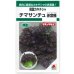 画像1: 送料無料　[レタス]　チマサンチュ　赤葉種　0.9ml　タキイ種苗　GF (1)