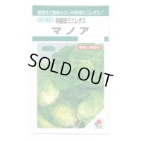 送料無料　[レタス]　半結球ミニレタス　マノア　1.8ml　タキイ種苗(株)　GF