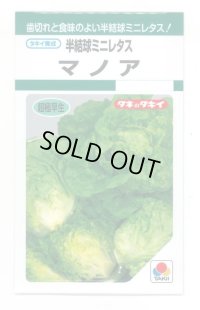 送料無料　[レタス]　半結球ミニレタス　マノア　1.8ml　タキイ種苗(株)　GF