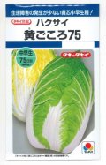 送料無料　[白菜]　黄ごころ75　1ml　タキイ種苗(株)　DF