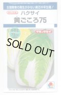 送料無料　[白菜]　黄ごころ75　1ml　タキイ種苗(株)　DF