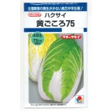 送料無料　[白菜]　黄ごころ75　1ml　タキイ種苗(株)　DF