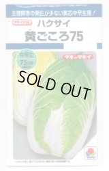 送料無料　[白菜]　黄ごころ75　1ml　タキイ種苗(株)　DF