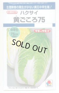 [白菜]　黄ごころ75　1ml　タキイ種苗（株）　DF