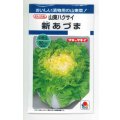 送料無料　[白菜]　新あづま　2.2ml　タキイ種苗(株)　DF