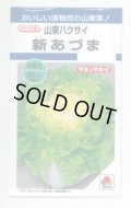 送料無料　[白菜]　新あづま　2.2ml　タキイ種苗(株)　DF