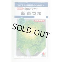[白菜]　新あづま　2.2ml　タキイ種苗（株）　DF
