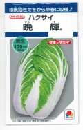 送料無料　[白菜]　晩輝　2ml　タキイ種苗(株)　DF