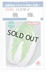送料無料　[白菜]　晩輝　2ml　タキイ種苗(株)　DF