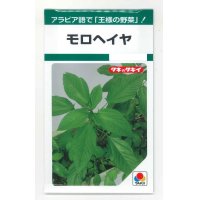 [葉物]　モロヘイヤ　1.5ml　タキイ種苗（株）　GF　