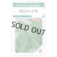 送料無料　モロヘイヤ　1.5ml　タキイ種苗(株)　GF