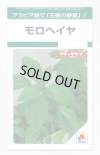 送料無料　モロヘイヤ　1.5ml　タキイ種苗(株)　GF
