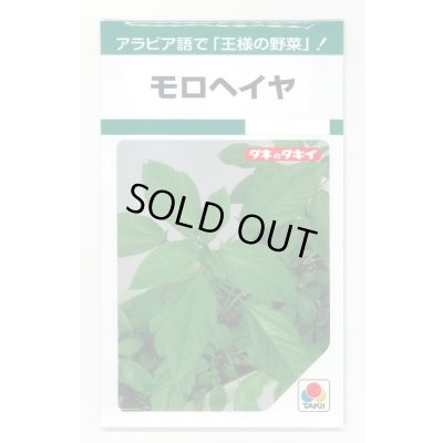 画像1: 送料無料　モロヘイヤ　1.5ml　タキイ種苗(株)　GF