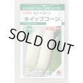 送料無料　[とうもろこし]　ホイップコーン　40粒　タキイ種苗　GF