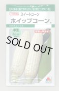 送料無料　[とうもろこし]　ホイップコーン　40粒　タキイ種苗　GF