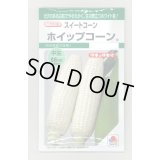 送料無料　[とうもろこし]　ホイップコーン　40粒　タキイ種苗　GF