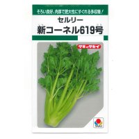 [葉物]　セルリー　新コーネル619号　0.8ml　タキイ種苗　GF