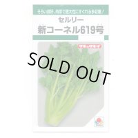 送料無料　新コーネル619号　0.8ml　タキイ種苗　GF